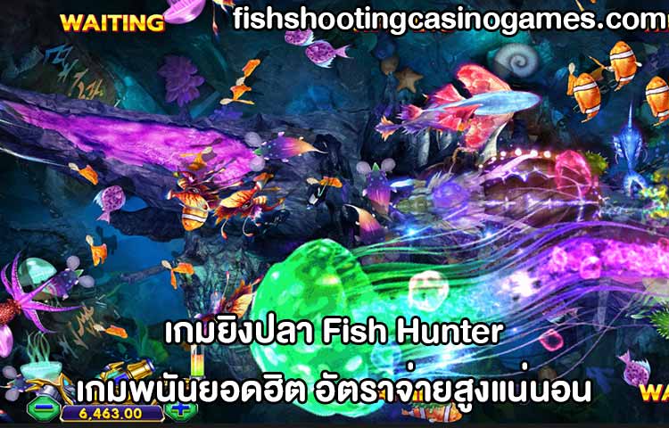 เกมยิงปลา Fish Hunter